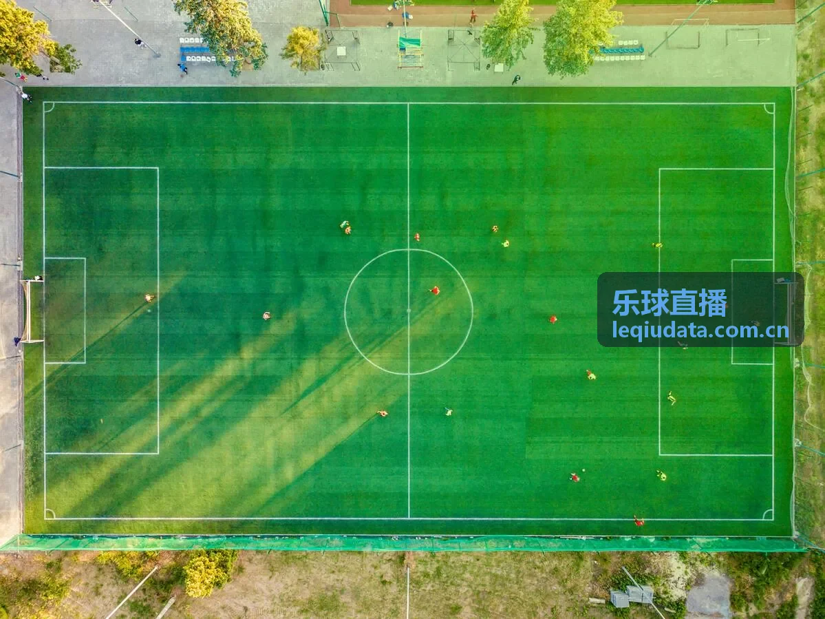 乐球直播-法国国家队